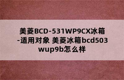 美菱BCD-531WP9CX冰箱-适用对象 美菱冰箱bcd503wup9b怎么样